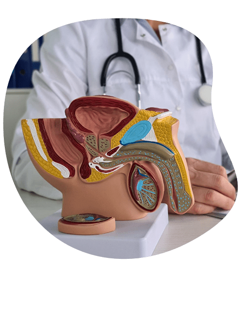 medico-urologo.png